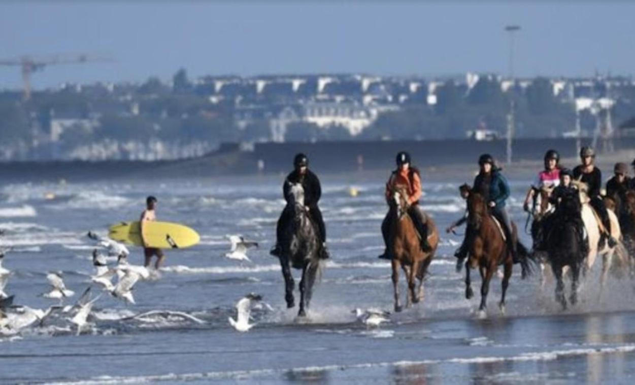 Appartamento Les Echappees Belles De L'Ocean Le Pointeau Esterno foto